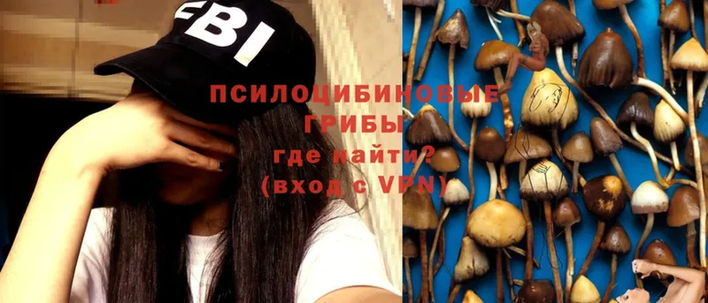 где можно купить наркотик  Бугульма  Галлюциногенные грибы MAGIC MUSHROOMS 